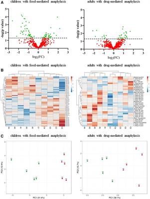 Circulating serum profile of small non-coding RNAs in patients with anaphylaxis beyond microRNAs